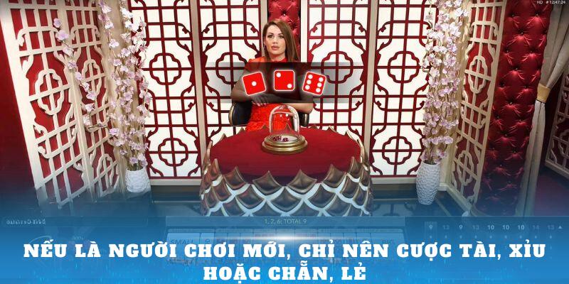 Nếu là người chơi mới, chỉ nên cược tài, xỉu hoặc chẵn, lẻ